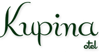 Kupina Otel